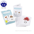 Custom Printing Design Educational Alphabet Flash Cards